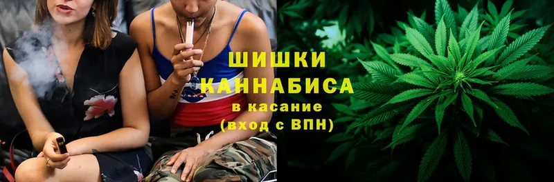 цены наркотик  Жиздра  MEGA как войти  Шишки марихуана индика 