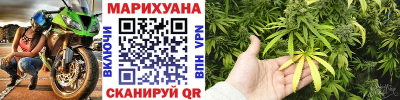 Каннабис индика  Жиздра 